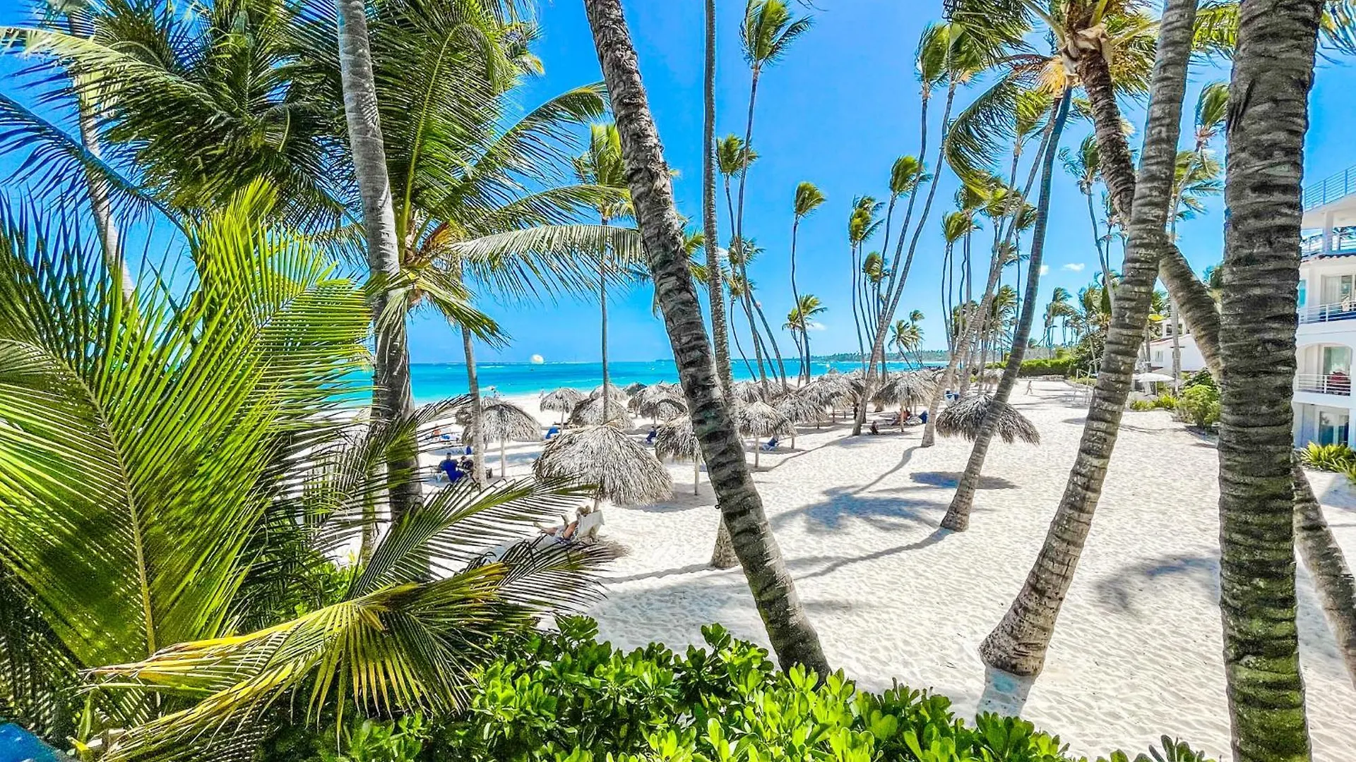 Tropical Adventure Sol Caribe Studios Pool Suites Beach Club & Spa