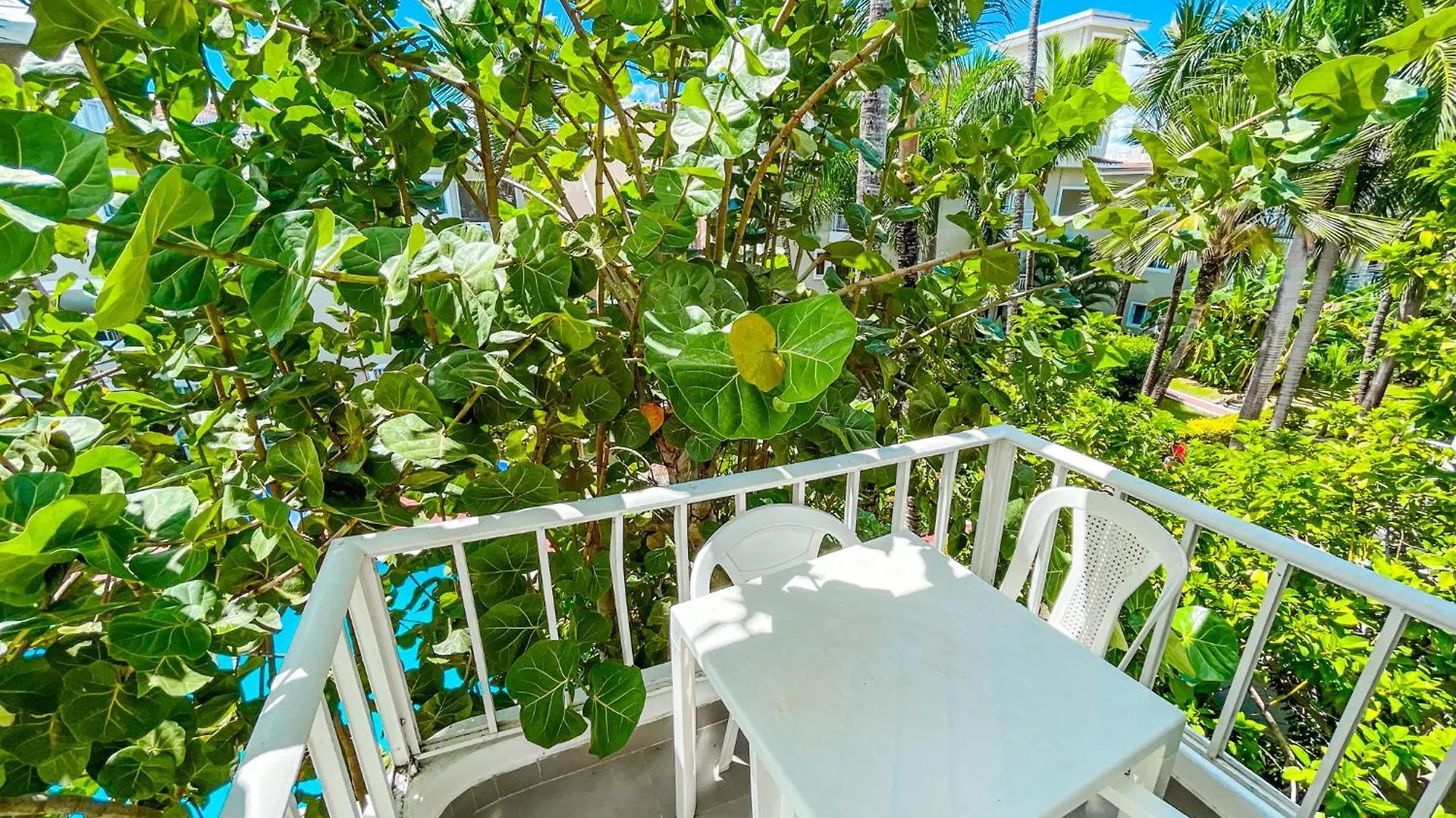 Tropical Adventure Sol Caribe Studios Pool Suites Beach Club & Spa Punta Cana Hotel